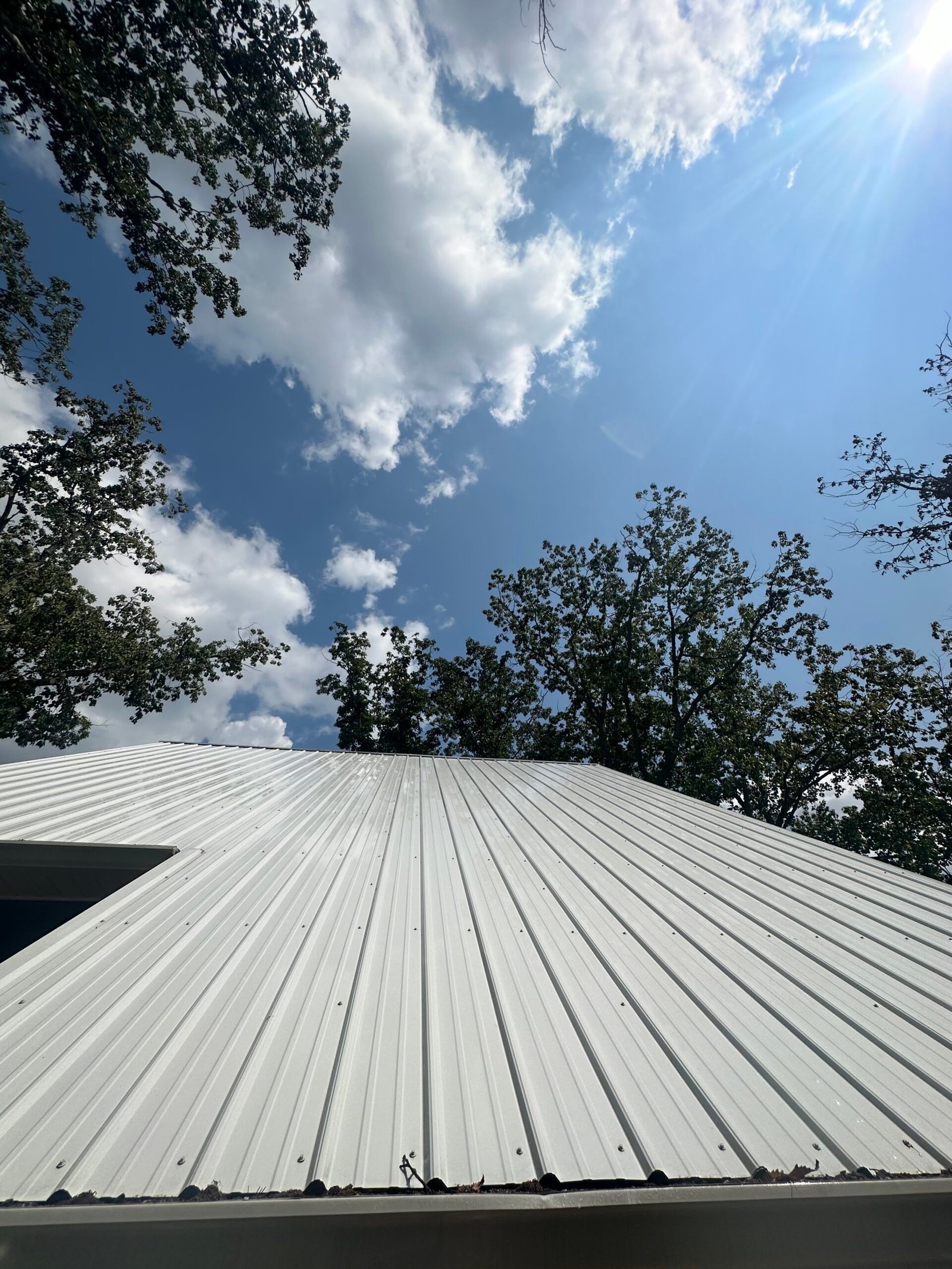 Roof Cleaning